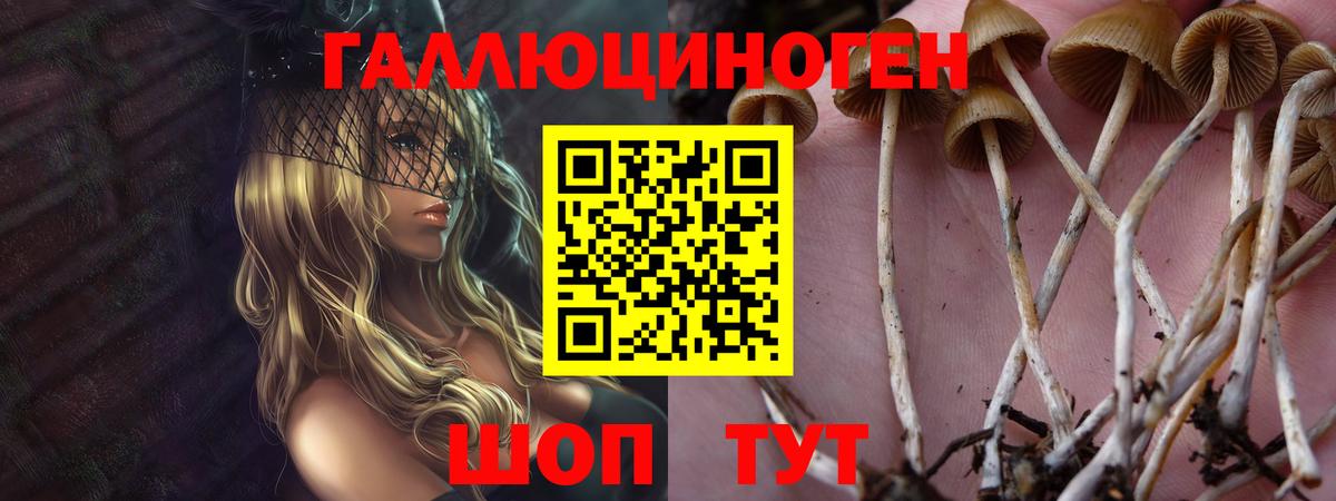 Псилоцибиновые грибы GOLDEN TEACHER Лесосибирск